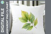 Leaf Illustration Bundle, 20 PNG, a Decorative Illustration by Enliven Designs (Thumbnail 8 of 8)
