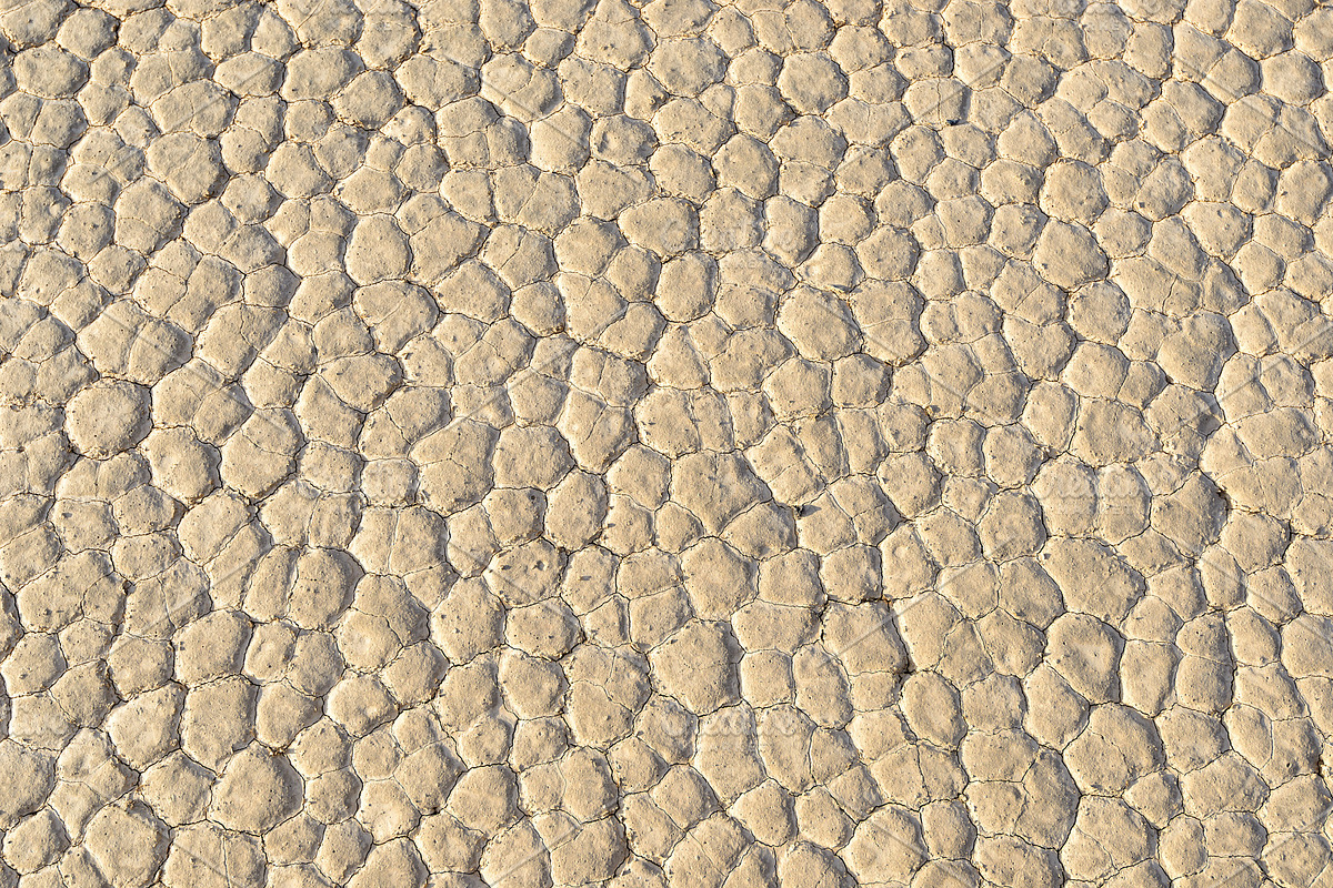 Crackled earth background containing texture, background, and desert, a Nature Photo by Lucky Photographer (Photo 2 of 2)