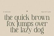 Meghan, a Serif Font by Flawless And Co (Thumbnail 8 of 9)
