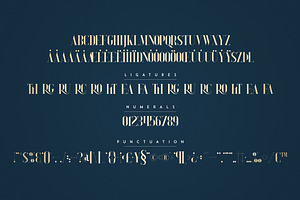 Daylight Dreams - Serif Font Extra