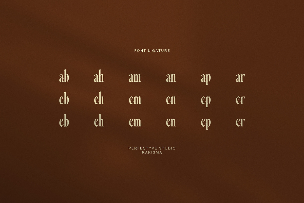 Karisma Elegant Serif Font, a Serif Font by Perfectype (Photo 8 of 8)