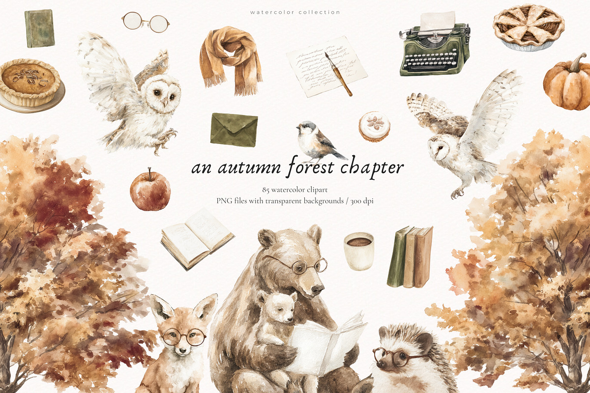 An Autumn Forest Chapter Collection, an Animal Illustration by PeDe Designs (Photo 2 of 29)