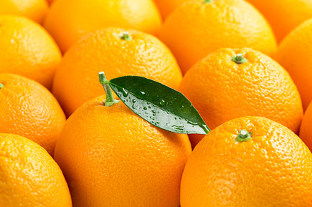 Ripe oranges. Close up.