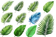 Leaves Clipart Png, an Illustration by Forhadx5 (Thumbnail 5 of 9)