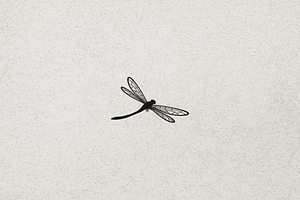 Minimalist Modern Dragonfly Logo