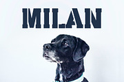 Milan Stencil - Urban City Font, a Slab Serif Font by vladocar (Thumbnail 2 of 7)
