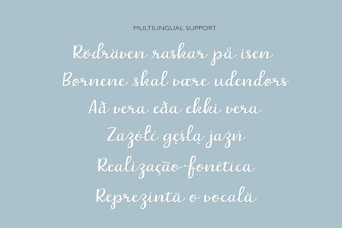 Belle Helene a Script & Symbols Font preview 8