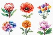Watercolor Bouquet Clipart, an Illustration by Craft Nest (Thumbnail 4 of 6)