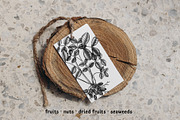 Superfoods: Fruit & Nuts Vector Set, a Food Illustration by Yevheniia (Thumbnail 9 of 11)