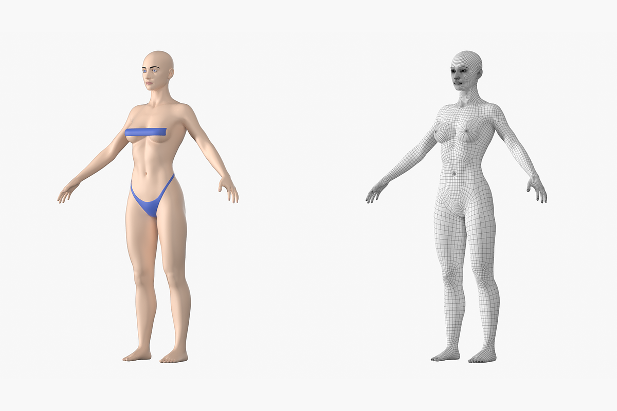Natural Female 01 A-Pose Base Mesh, a Characters & Person 3D Model by VK Studio (Photo 2 of 26)
