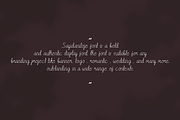 Sayidaniloje, a Handwritten Font by QR Design Studio (Thumbnail 5 of 8)