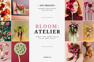 Bloom Atelier | 345 stock images, a Nature Photo by Tale.Haus