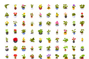 Flower and Plants Isometric Icons, a Duotone Icon by Brickclay (Thumbnail 7 of 7)
