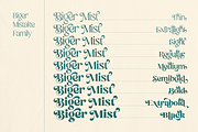 Biger Mistake - Playful Family, a Serif Font by Holyline Design (Thumbnail 4 of 16)