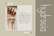 Lumiéra - Modern Aesthetic Boho Font, a Handwritten Font by roomspace creative lab (Thumbnail 6 of 12)