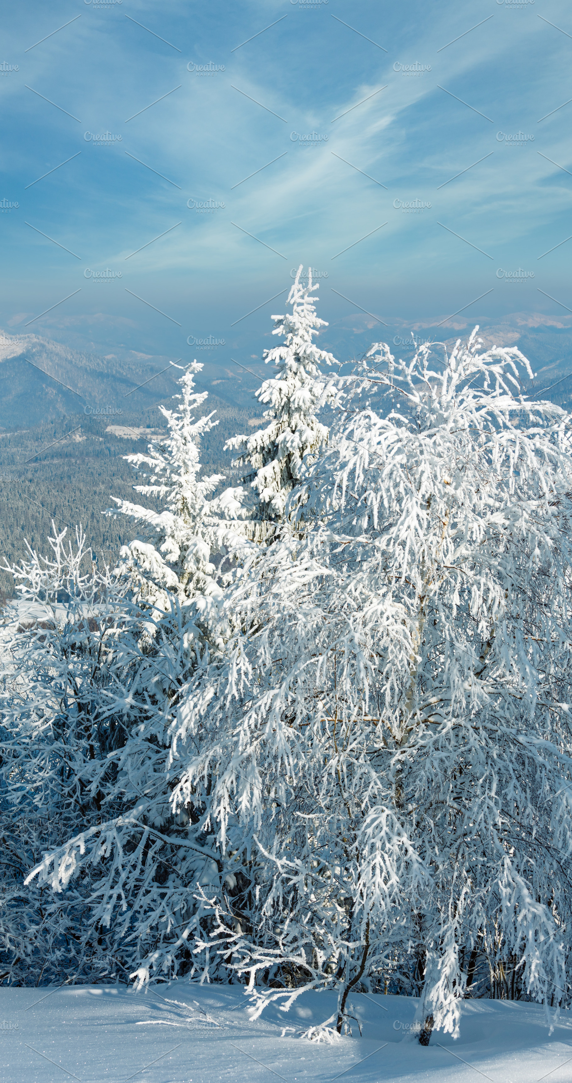 Winter mountain snowy landscape, a Nature Photo by YuriyB