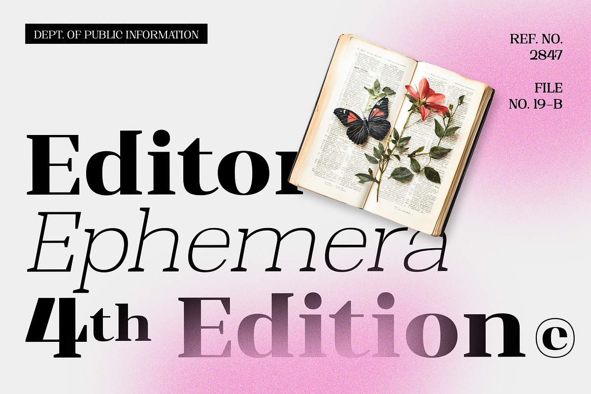 Shapfly, a Serif Font by Propertype (Photo 8 of 15)