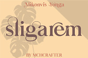 Mikonvis Yonga | Modern Serif Font, a Serif Font by MchCrafter (Thumbnail 7 of 15)