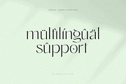 granola - unique modern vintage font, a Sans Serif Font by Sensatype (Thumbnail 14 of 17)