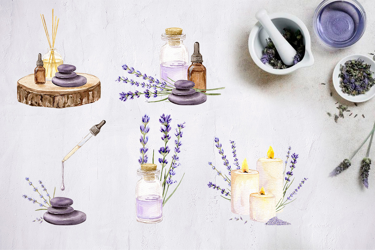 Watercolor Lavender Essense, a Healthcare Illustration by art_takremen (Photo 4 of 8)