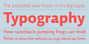 Relato Sans, a Sans Serif Font by Emtype Foundry (Thumbnail 9 of 11)
