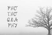 FairyLand - Script Font, a Script Font by Fatih Gibran (Thumbnail 3 of 3)