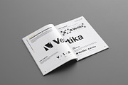 Brand Manual - REAL TEXT, a Brochure Template by Mastergfx (Thumbnail 6 of 13)