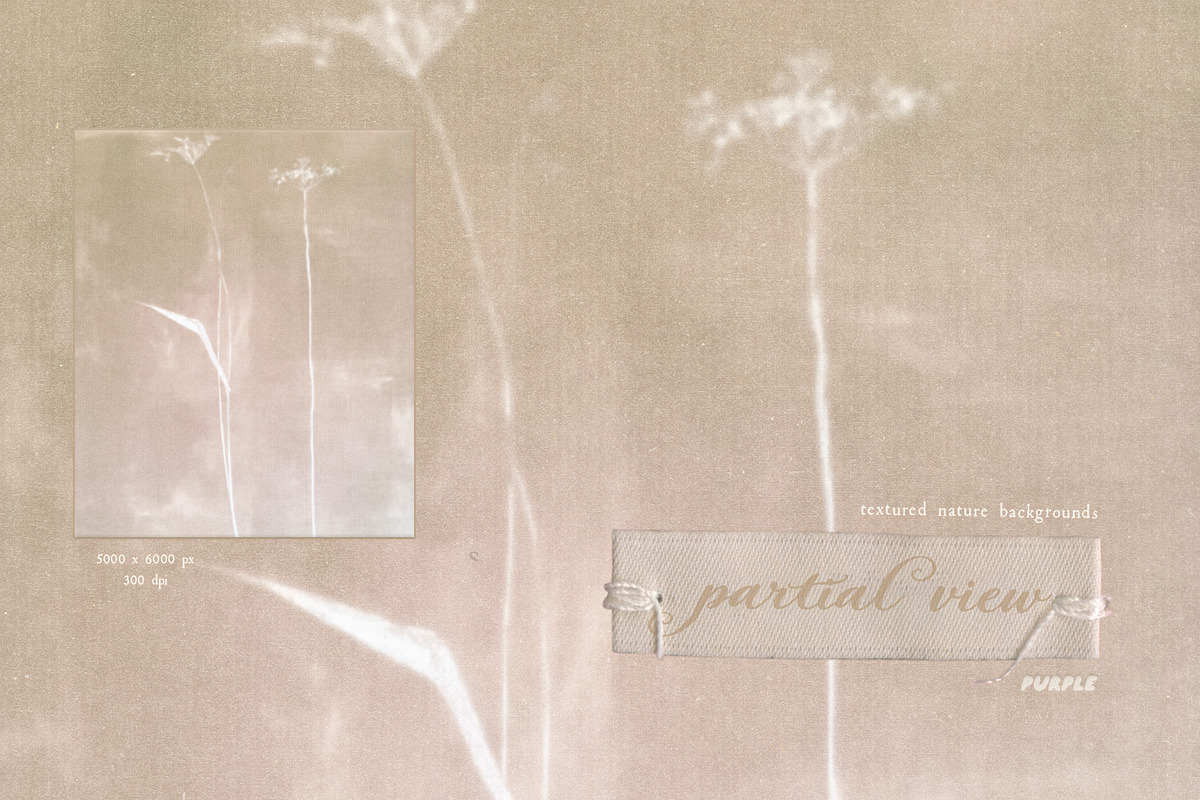 Partial View - Nature Backgrounds, a Background Graphic by Purple (Photo 10 of 12)