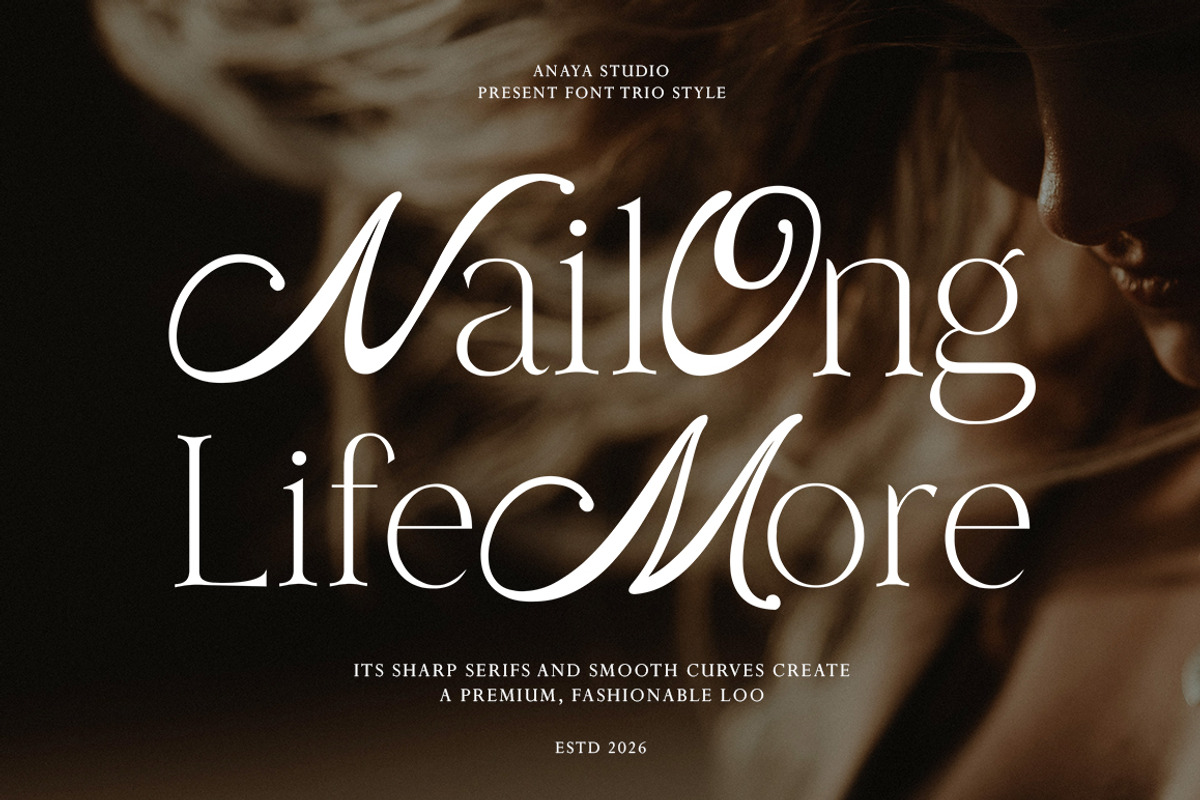 Nailong Lifemore, a Serif Font by AnayaStudio (Photo 1 of 10)