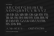 Ragier Elegant Serif Font, a Serif Font by Perfectype (Thumbnail 8 of 8)