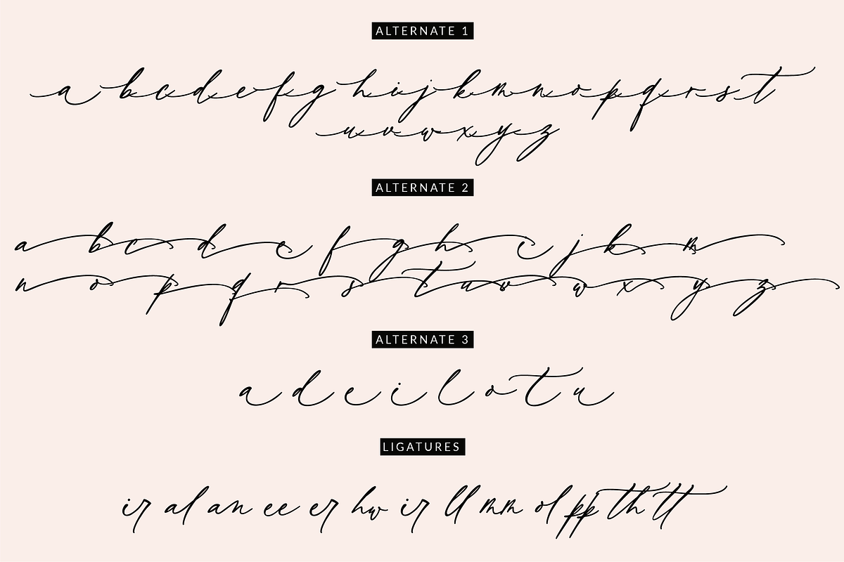Wild Magnolia Luxury Script, a Script Font by theinkaffair (Photo 13 of 13)