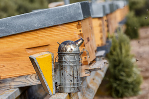 Beekeeping Smoker Next to Wooden Hiv, an Industrial Photo by Perpis