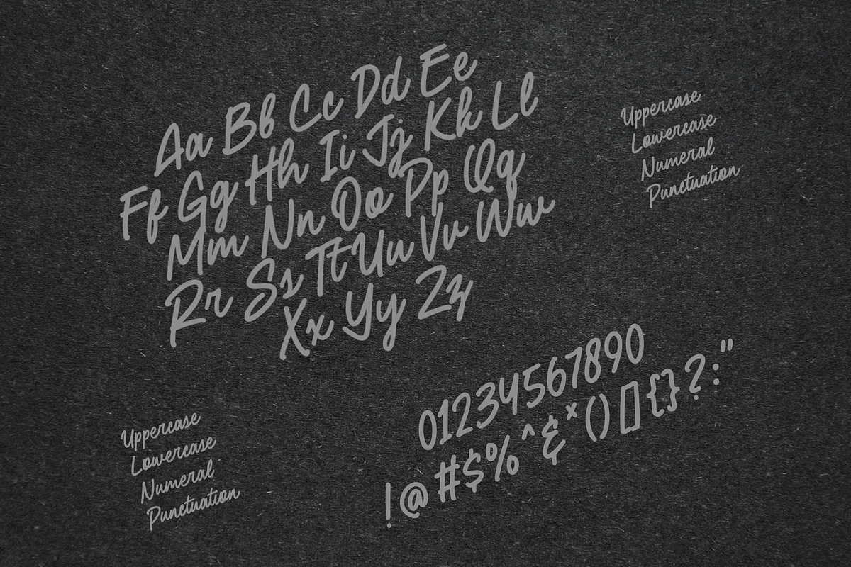 Steve Buck – Handwritten Script Font, a Script Font by overlaytemplates (Photo 4 of 5)