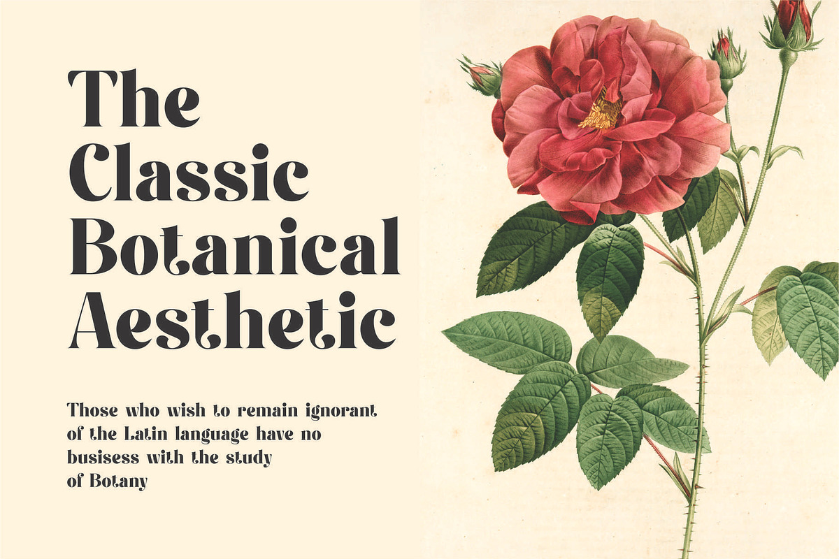 Fiontina A Display Typeface Font, a Serif Font by Dylla_studio (Photo 5 of 9)