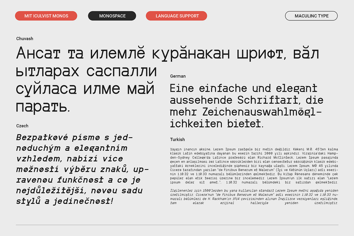 MIT Iculvist Monos Normal, a Sans Serif Font by Maculinc Type (Photo 9 of 11)