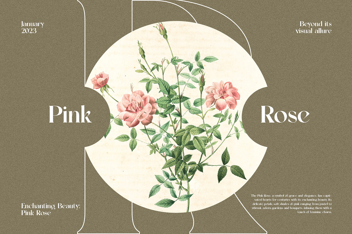Average Elegant Serif Font Typeface, a Serif Font by Graphicxell (Photo 5 of 10)