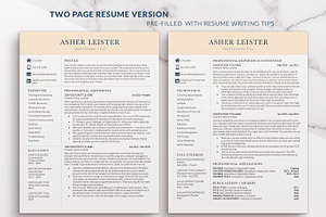 Resume Template Executive Style