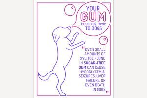 What is poisonous to dogs. Editable, an Animal Illustration by Anna's Shop