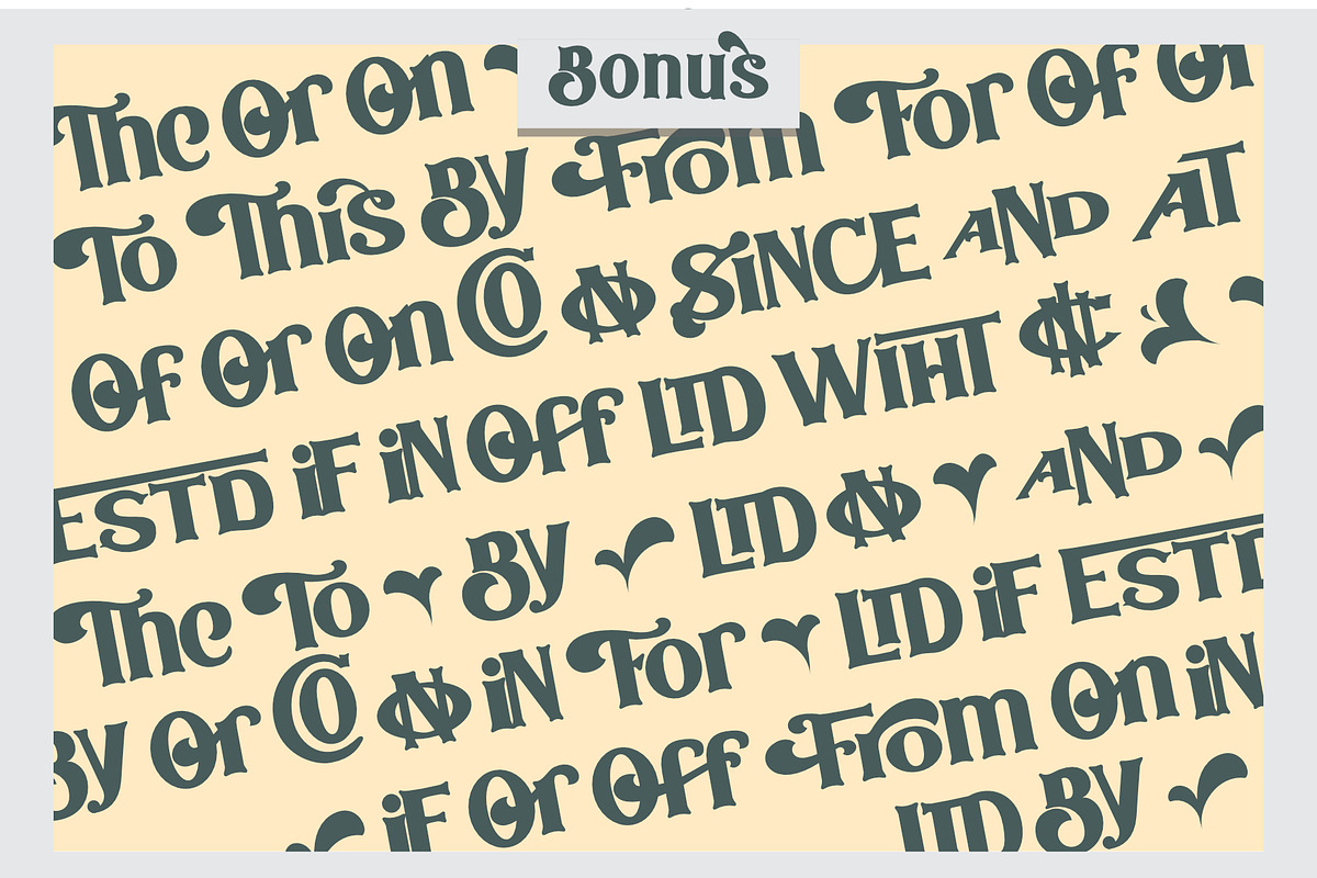 The Bodbug Typeface, a Serif Font by Khoir (Photo 10 of 13)