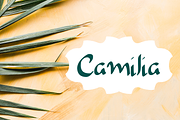 Camilia - Handwritten Script Font, a Script Font by Mila Visuals (Thumbnail 1 of 4)