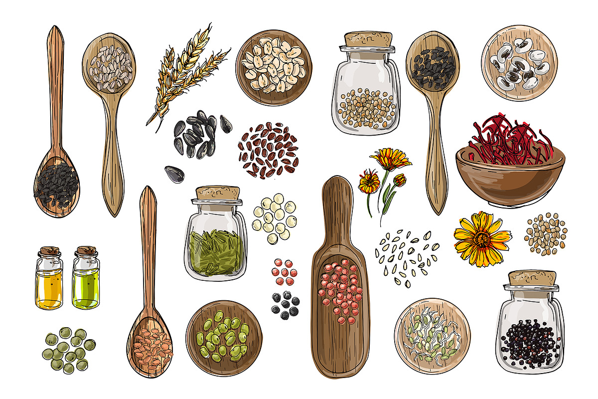 Vector food icons. Spices, nuts, a Food Illustration by irina.vaneeva (Photo 1 of 5)