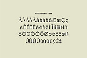 Ambrotype Modern Sans Serif Font, a Sans Serif Font by UICreative (Thumbnail 11 of 12)