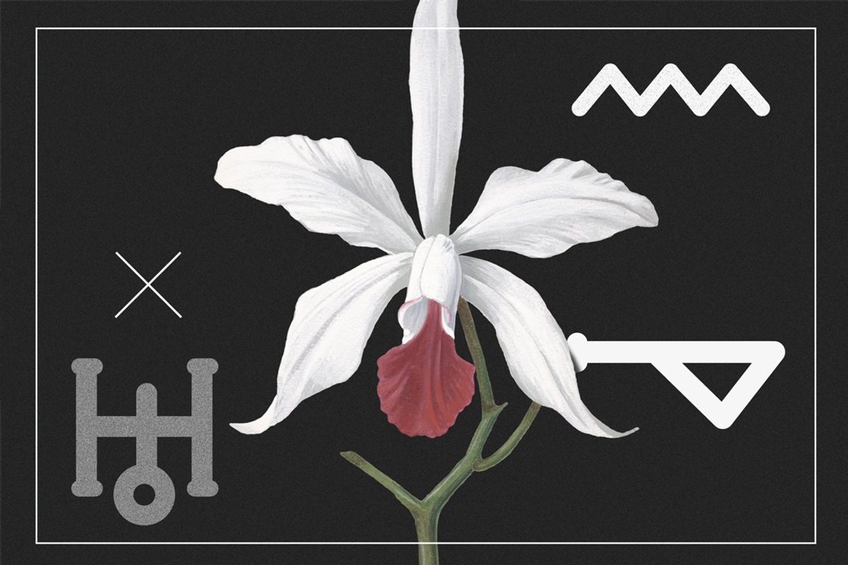 Alchemy Symbols Pack, an Object Graphic by Over Under (Photo 7 of 7)