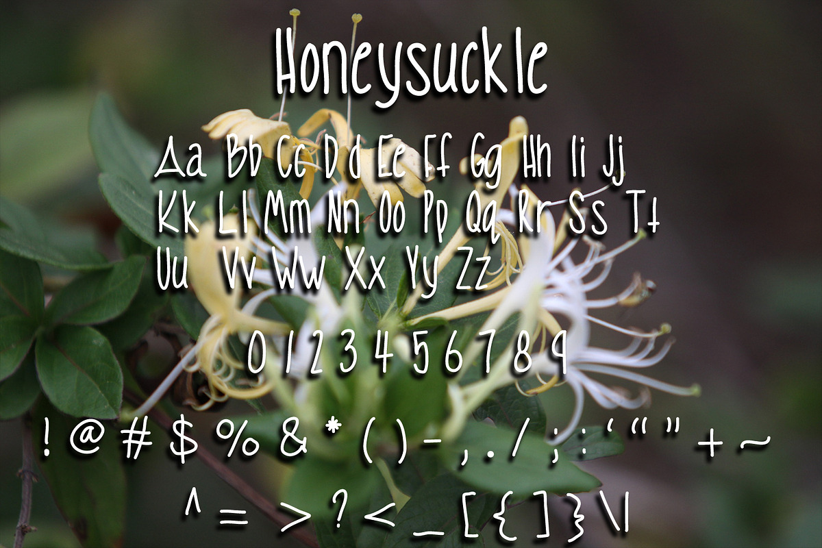 Honeysuckle preview 2