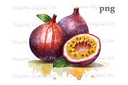 Watercolor Summer Hawaiian Fruits, an Object Graphic by Negarin Digital Art (Thumbnail 2 of 9)