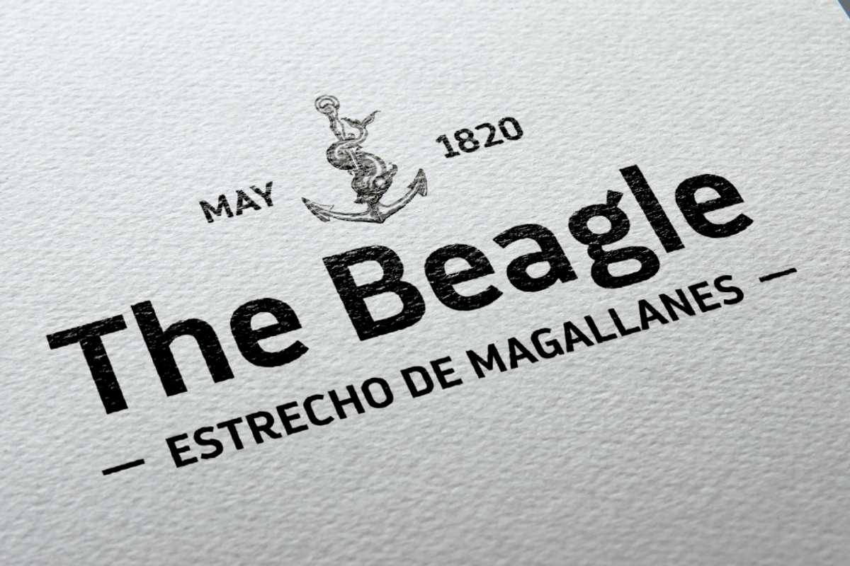 Darwin Pro - Family 30% off, a Sans Serif Font by Los Andes Type (Photo 10 of 12)