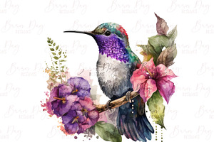 Fairy Hummingbird Floral Clipart