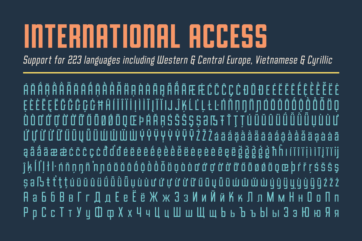 Goodland Condensed Text fonts, a Sans Serif Font by Swell Type (Photo 5 of 6)