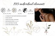 Botanical shapes, organic forms, a Decorative Illustration by JuDesign (Thumbnail 3 of 11)