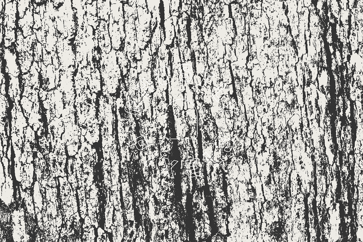 Tree Bark Textures, a Texture Graphic by GhostlyPixels (Photo 5 of 9)